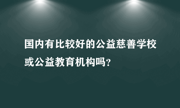 国内有比较好的公益慈善学校或公益教育机构吗？