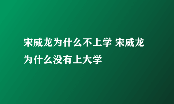 宋威龙为什么不上学 宋威龙为什么没有上大学