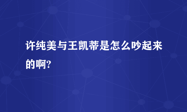 许纯美与王凯蒂是怎么吵起来的啊?