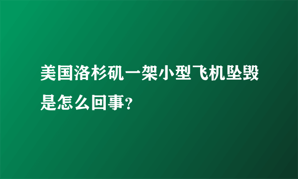 美国洛杉矶一架小型飞机坠毁是怎么回事？