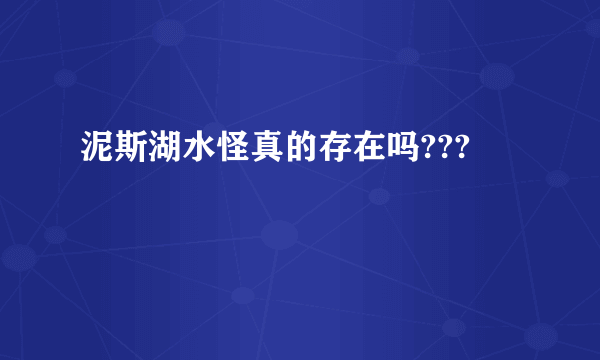 泥斯湖水怪真的存在吗???