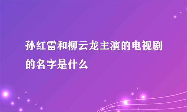 孙红雷和柳云龙主演的电视剧的名字是什么