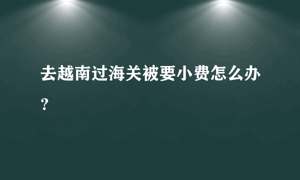 去越南过海关被要小费怎么办？