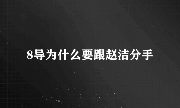 8导为什么要跟赵洁分手