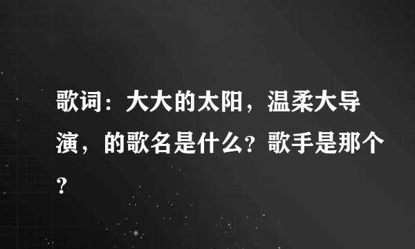 歌词：大大的太阳，温柔大导演，的歌名是什么？歌手是那个？