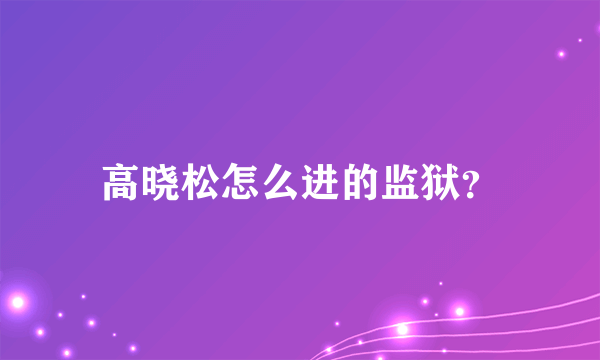 高晓松怎么进的监狱？