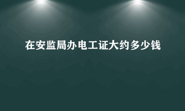 在安监局办电工证大约多少钱