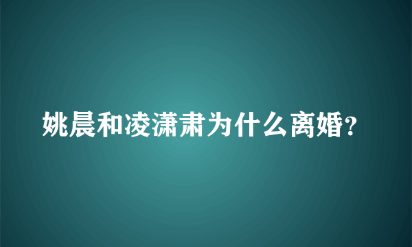 姚晨和凌潇肃为什么离婚？