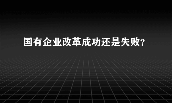 国有企业改革成功还是失败？