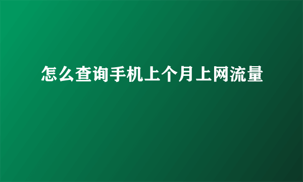 怎么查询手机上个月上网流量