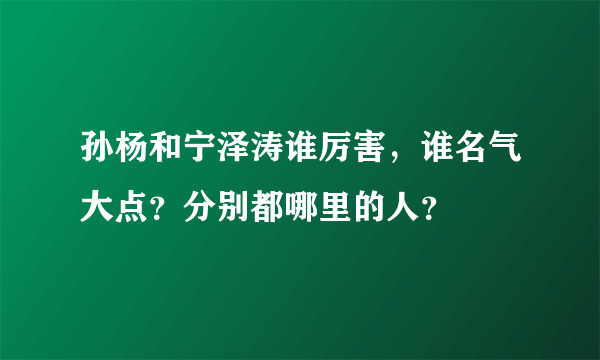 孙杨和宁泽涛谁厉害，谁名气大点？分别都哪里的人？