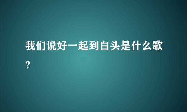 我们说好一起到白头是什么歌？