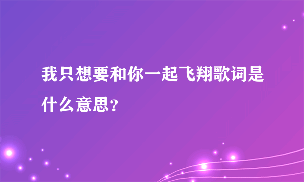 我只想要和你一起飞翔歌词是什么意思？