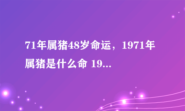 71年属猪48岁命运，1971年属猪是什么命 1971年出生人的命运