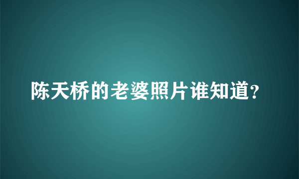 陈天桥的老婆照片谁知道？