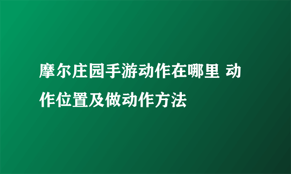 摩尔庄园手游动作在哪里 动作位置及做动作方法