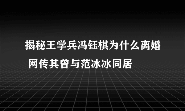 揭秘王学兵冯钰棋为什么离婚 网传其曾与范冰冰同居