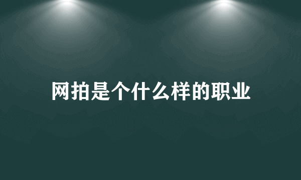 网拍是个什么样的职业