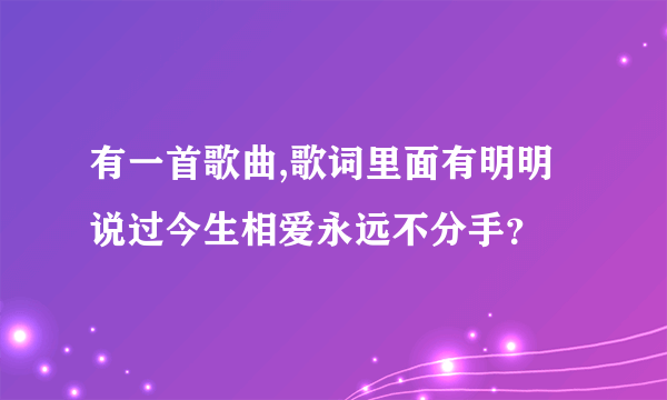 有一首歌曲,歌词里面有明明说过今生相爱永远不分手？