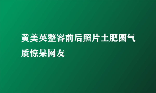 黄美英整容前后照片土肥圆气质惊呆网友