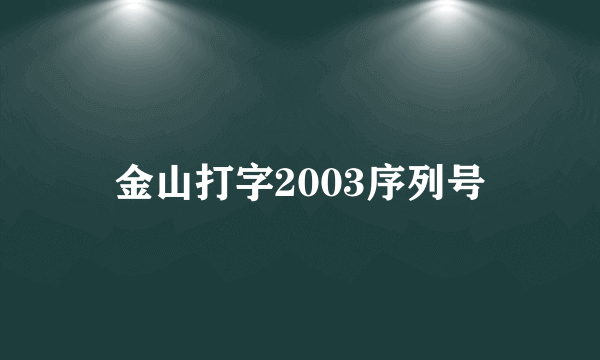 金山打字2003序列号