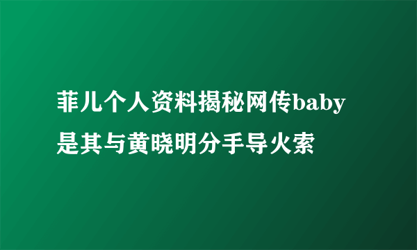 菲儿个人资料揭秘网传baby是其与黄晓明分手导火索