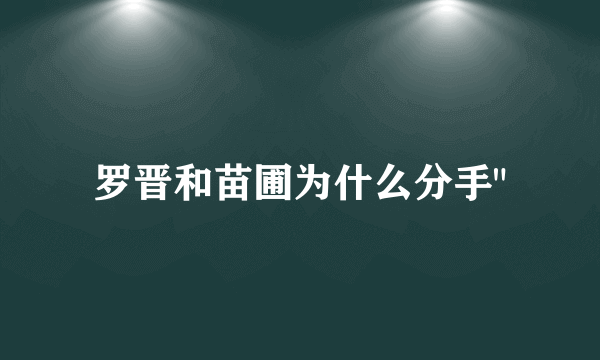 罗晋和苗圃为什么分手