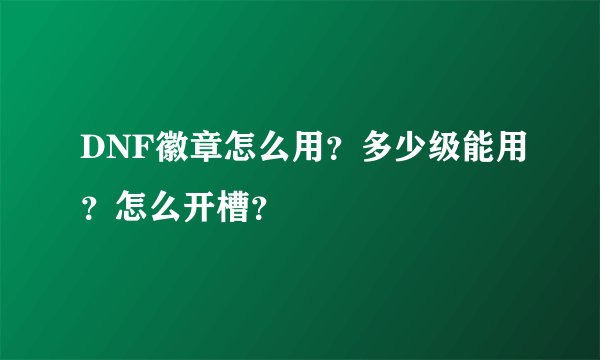 DNF徽章怎么用？多少级能用？怎么开槽？