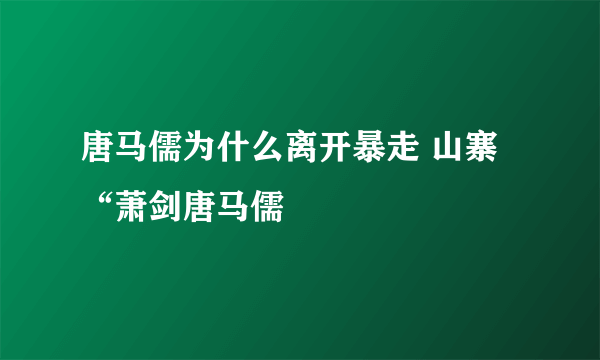 唐马儒为什么离开暴走 山寨“萧剑唐马儒