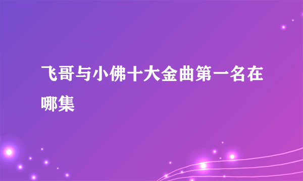 飞哥与小佛十大金曲第一名在哪集