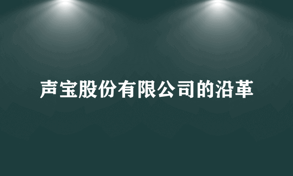 声宝股份有限公司的沿革