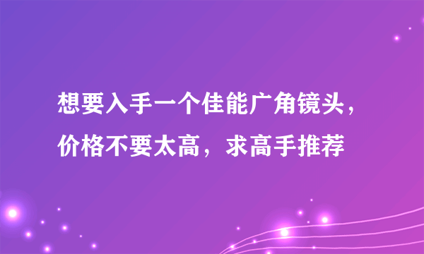 想要入手一个佳能广角镜头，价格不要太高，求高手推荐