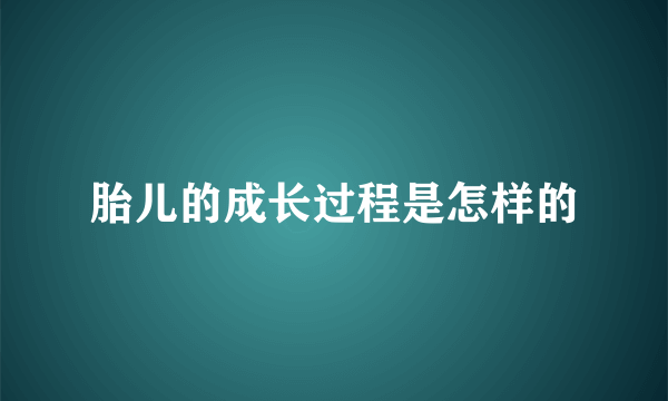 胎儿的成长过程是怎样的