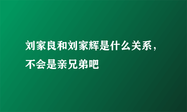 刘家良和刘家辉是什么关系，不会是亲兄弟吧