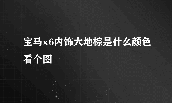 宝马x6内饰大地棕是什么颜色看个图