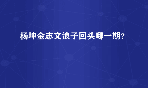 杨坤金志文浪子回头哪一期？