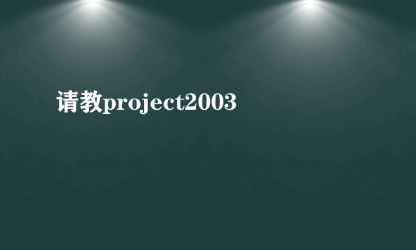 请教project2003