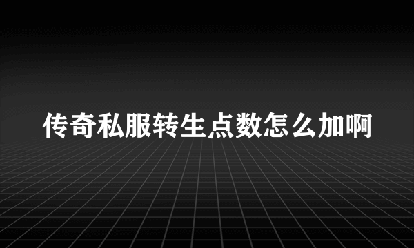 传奇私服转生点数怎么加啊