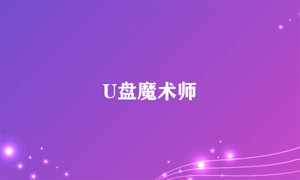 U盘魔术师