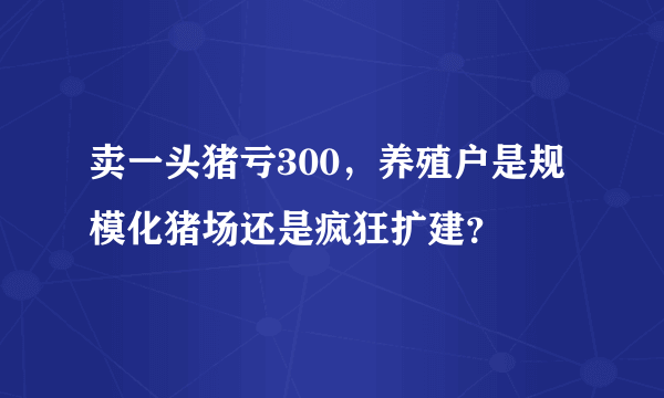 卖一头猪亏300，养殖户是规模化猪场还是疯狂扩建？