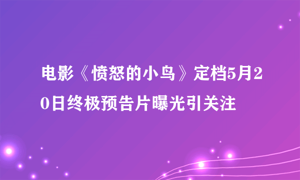 电影《愤怒的小鸟》定档5月20日终极预告片曝光引关注