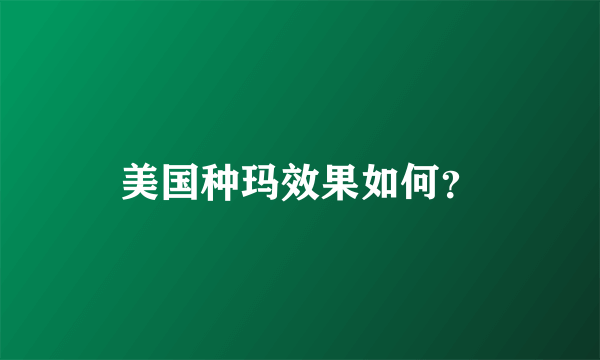 美国种玛效果如何？