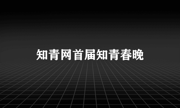 知青网首届知青春晚