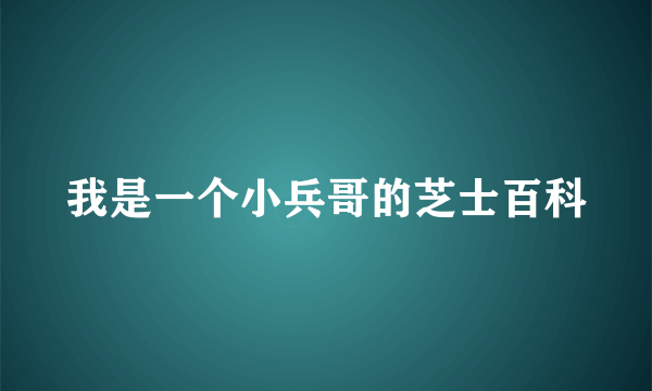 我是一个小兵哥的芝士百科