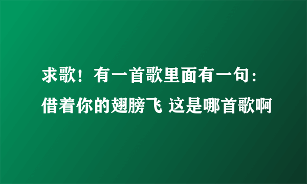 求歌！有一首歌里面有一句：借着你的翅膀飞 这是哪首歌啊