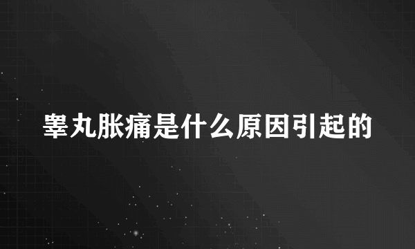 睾丸胀痛是什么原因引起的