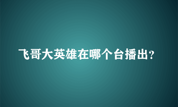 飞哥大英雄在哪个台播出？