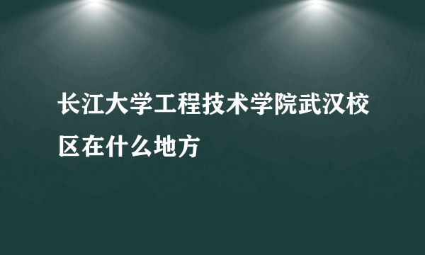 长江大学工程技术学院武汉校区在什么地方