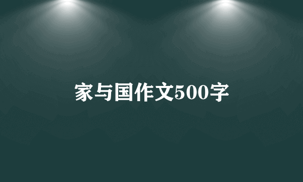 家与国作文500字