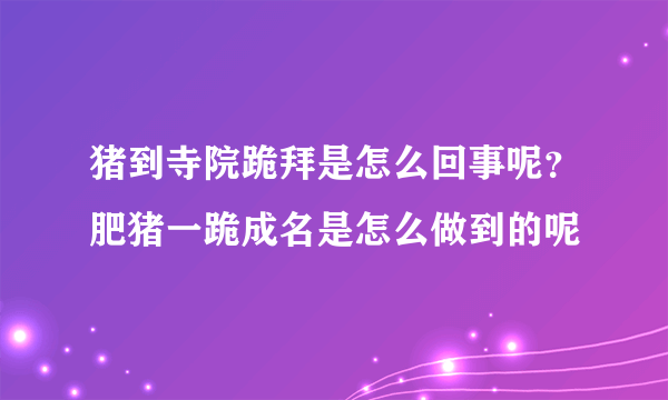 猪到寺院跪拜是怎么回事呢？肥猪一跪成名是怎么做到的呢